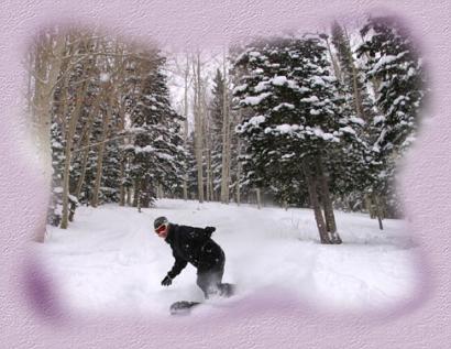 The Slopes Of Colorado ~ Vickie Lambdin